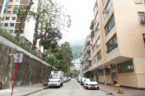 Mrs Lau spent her childhood in Wang Wa Street (house on the right) and saw Ming Wah morph from a mudflat to comfortable homes for many.